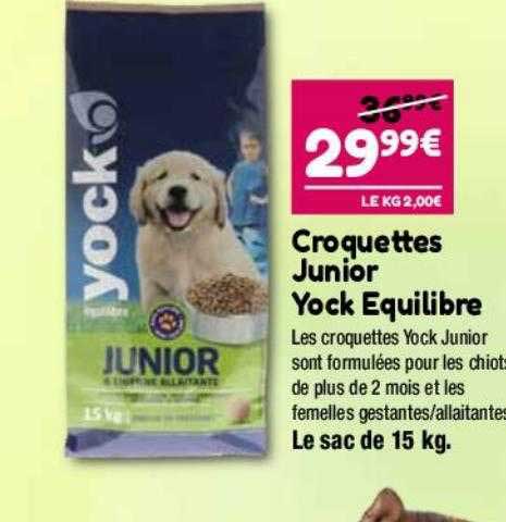 Croquettes Junior Yock équilibre