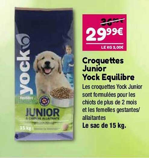 Croquettes Junior Yock équilibre