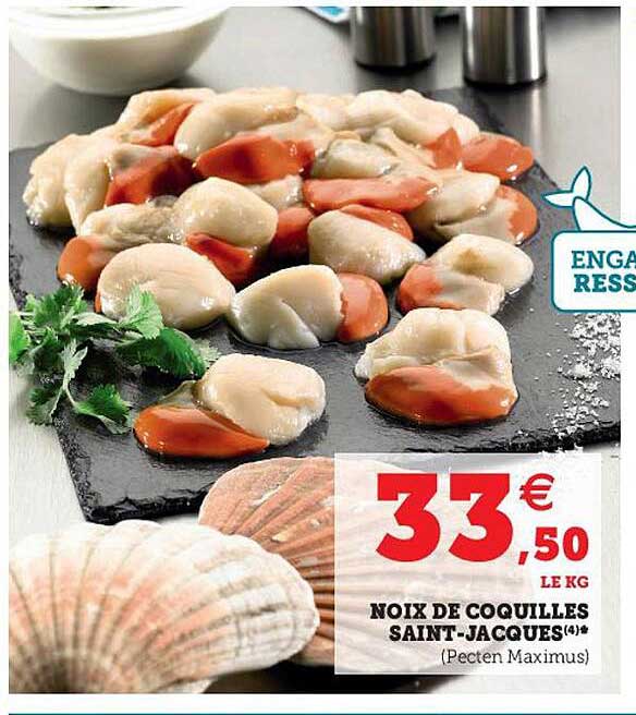 noix de coquilles saint-jacques