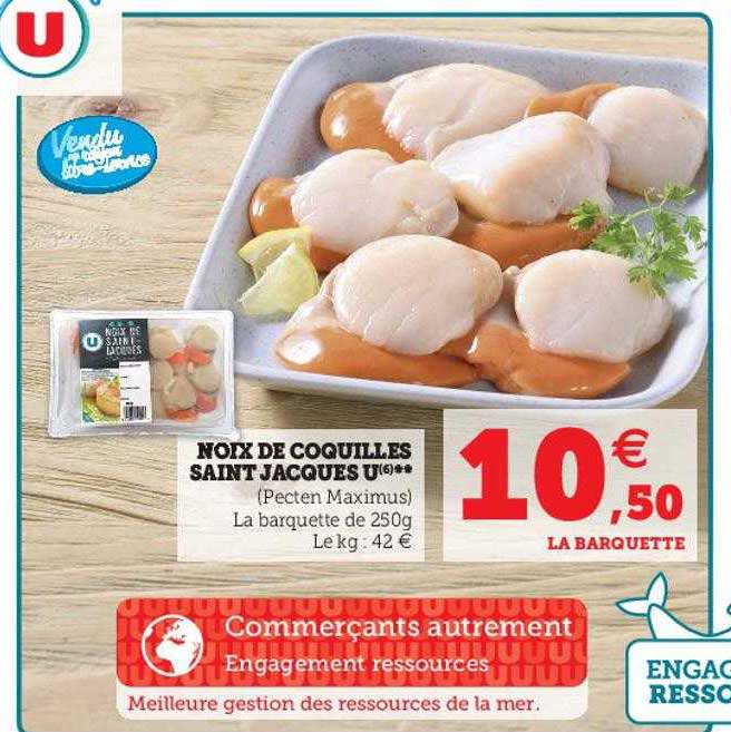 noix de coquilles saint jacques u