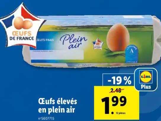 oeufs élevés en plein air