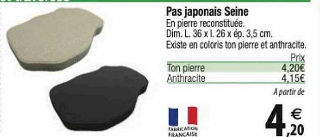 pas japonais seine