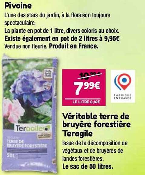 pivoine, véritable terre de bruyère forestière teragile