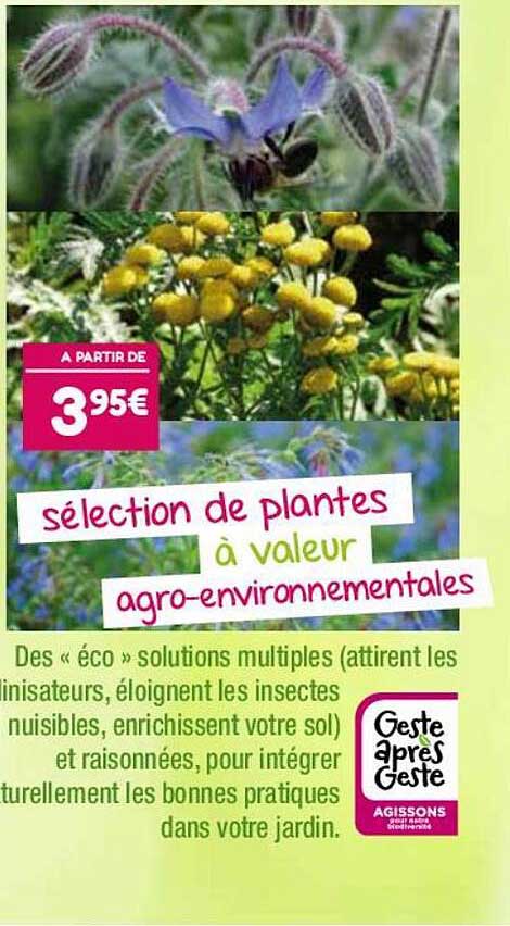 plantes à valeur agro-environnementales