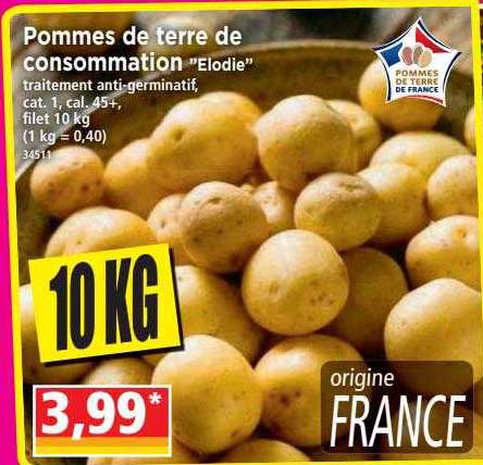 Pomme De Terre De Consommation "elodie"