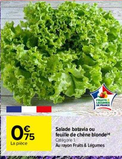 Salade Batavia Ou Feuille De Chêne Blonde
