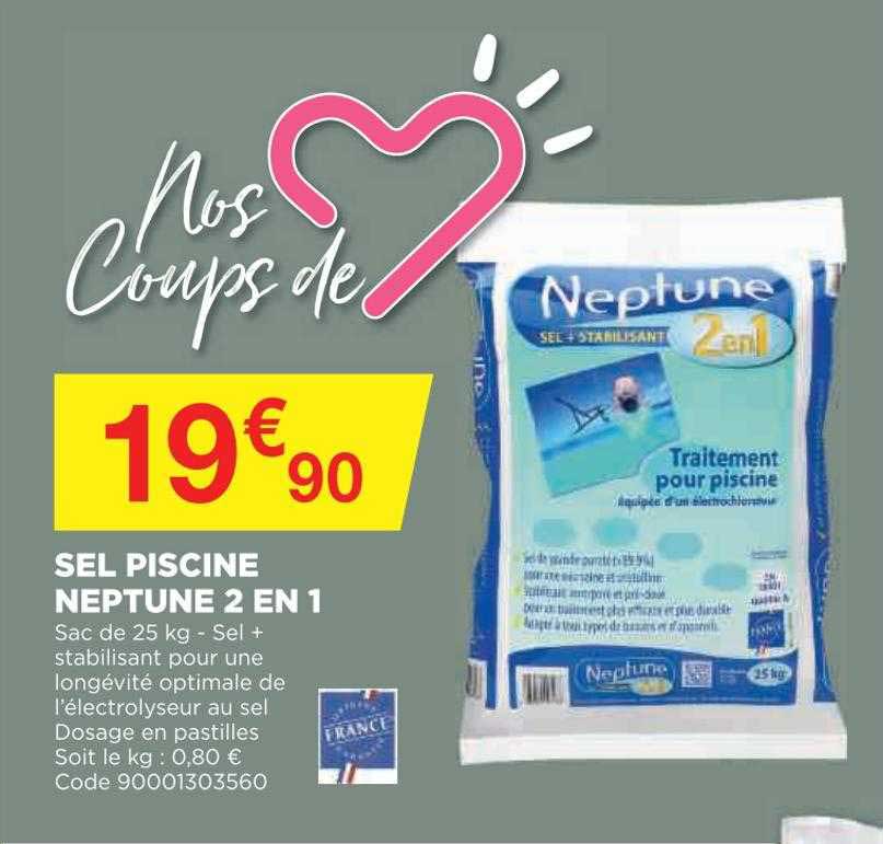 Sel Piscine Neptune 2 En 1