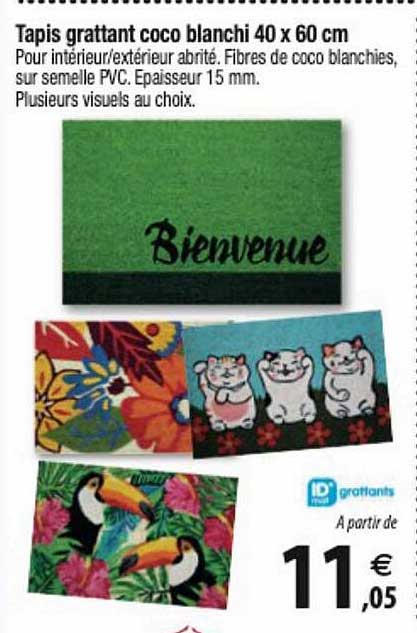 tapis grattant coco blanchi 40 x 60 cm id grattants