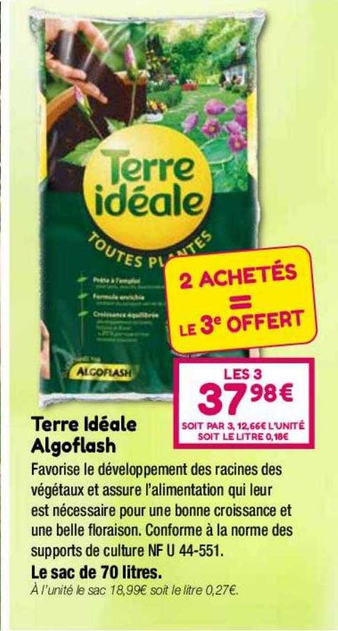 terre idéale algoflash
