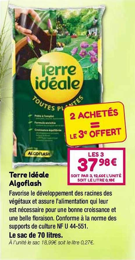 terre idéale algoflash