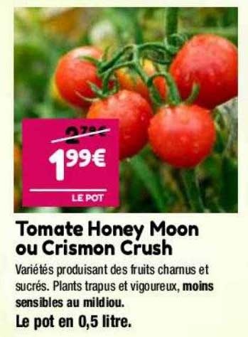 tomate honey moon ou crismon crush