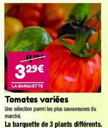 Tomates