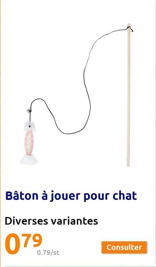 bâton à jouer pour chat