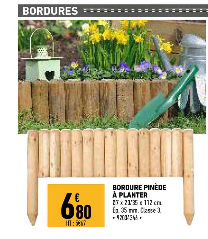 bordure pinède à planter