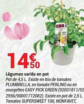 légumes variés en pot