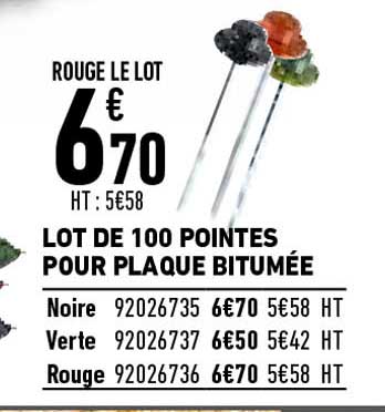 lot de 100 pointes pour plaque bitumée