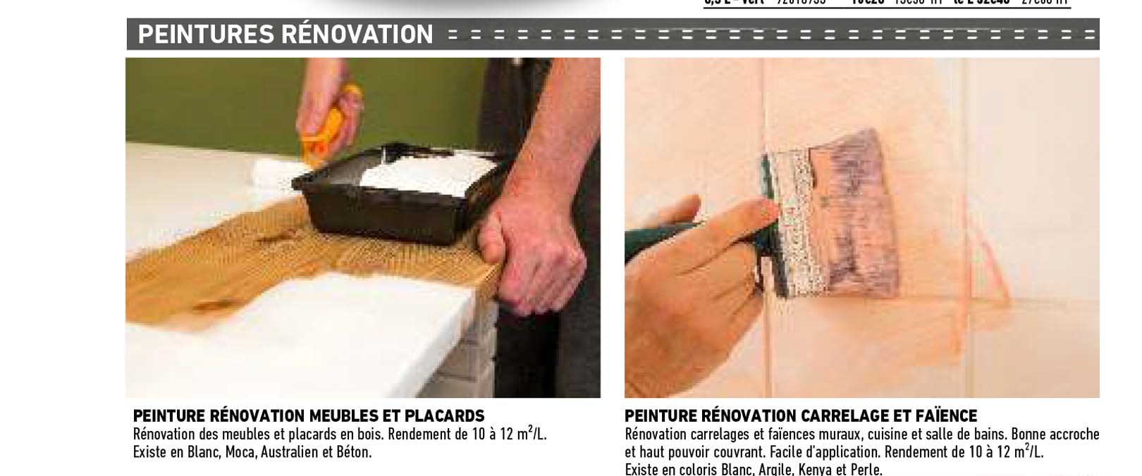 peinture renovation meubles et placards, peinture renovation carrelage et faience