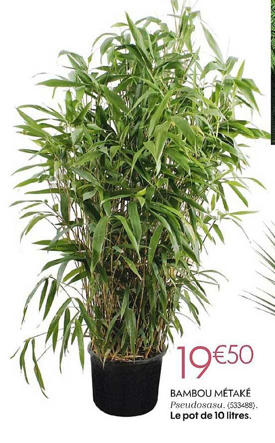 babou métaké le pot de 10 litres