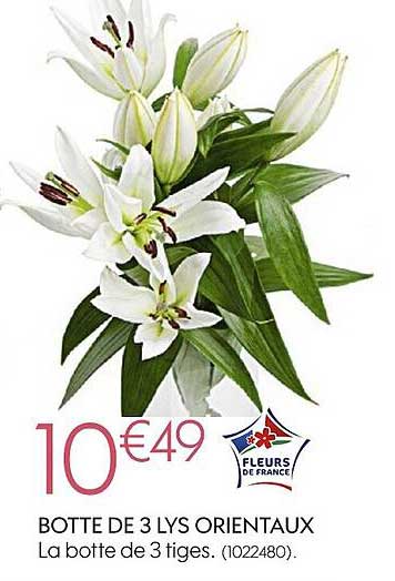 botte de 3 lys orientaux la botte de 3 tiges