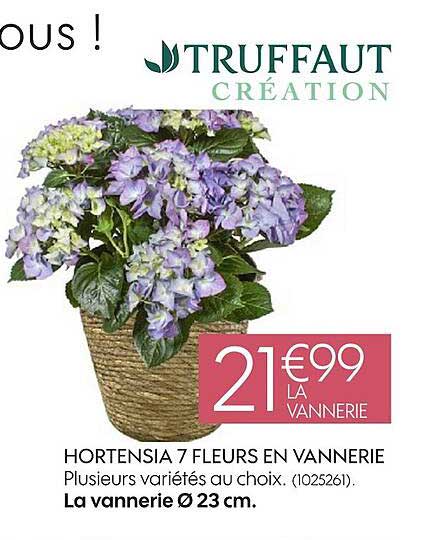 hortensia 7 fleurs en vannerie plusieurs variétés au choix la vannerie ø 23 cm