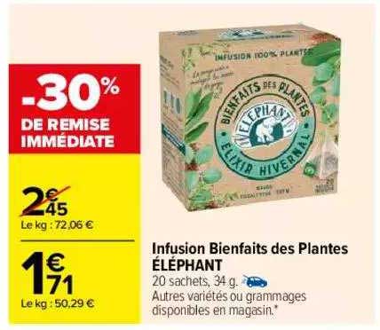 infusion bienfaits des plantes éléphant