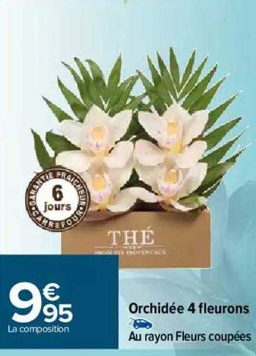 orchidée 4 fleurons
