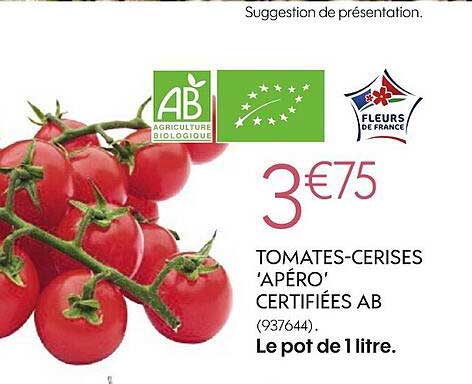 tomates-cerises 'apéro' certifiées ab le pot de 1 litre