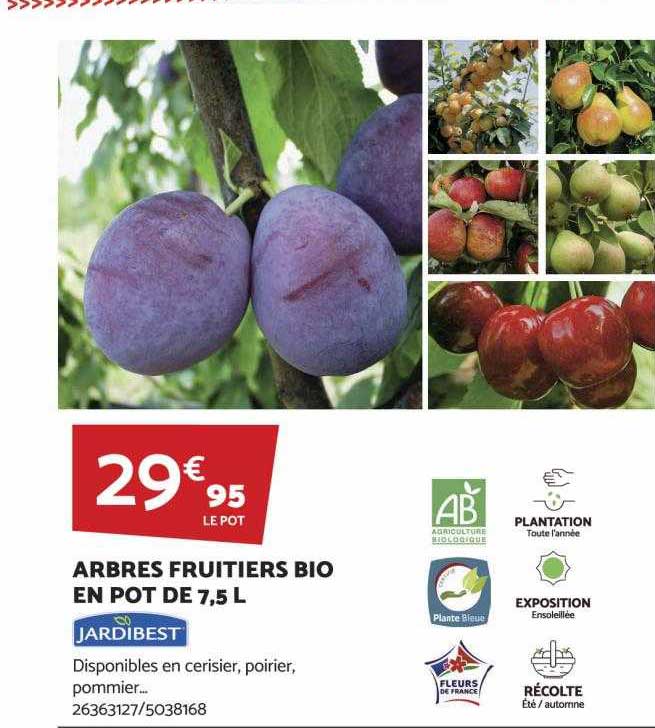 arbres fruitiers bio en pot de 7,5l jardibest