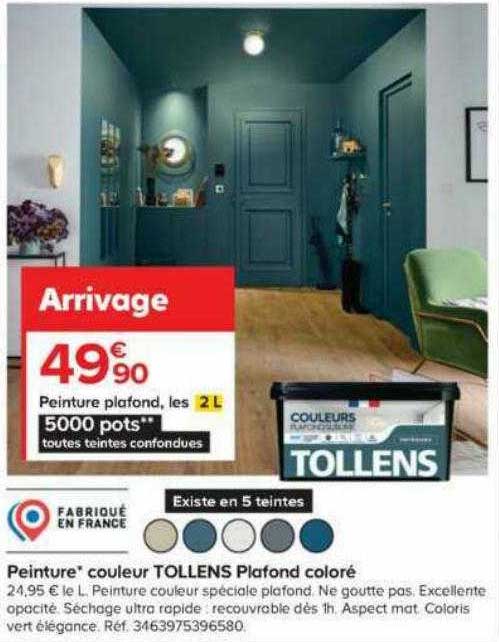 peinture couleur tollens plafond coloré