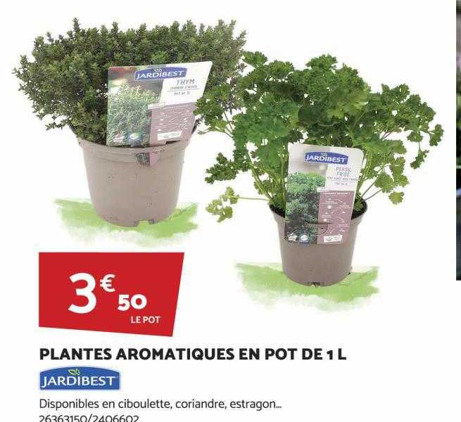 plantes aromatiques en pot de 1l jardibest