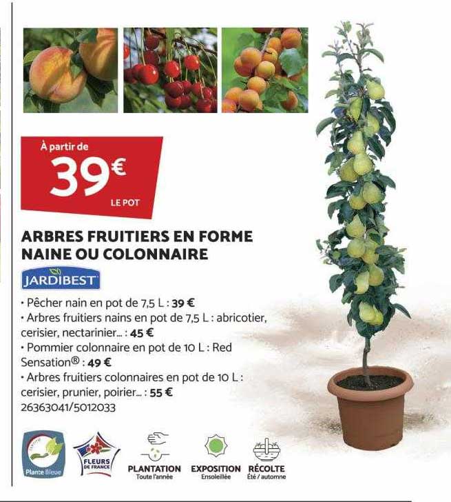 arbres fruitiers en forme naine ou colonnaire jardibest