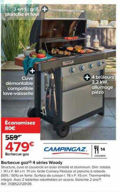 barbecue gaz 4 séries woody campingaz