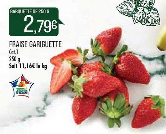 fraise gariguette
