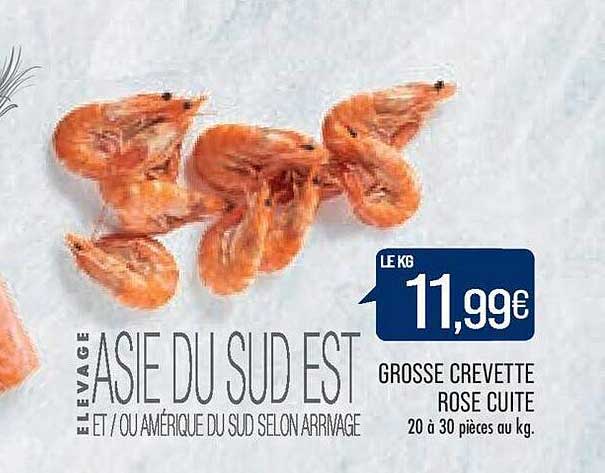 Grosse Crevette Rose Cuite