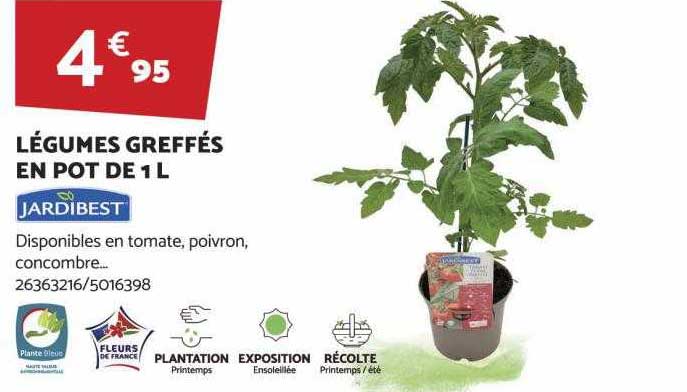 légumes greffés en pot de 1l jardibest