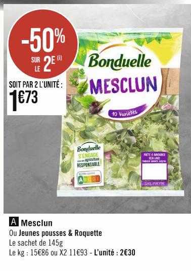 mesclun ou jeunes pousses & roquette