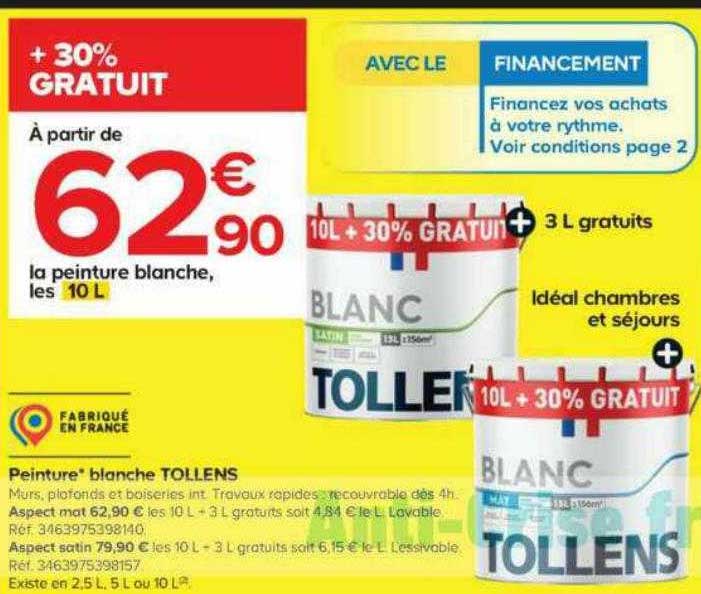 Peinture Blanche Tollens