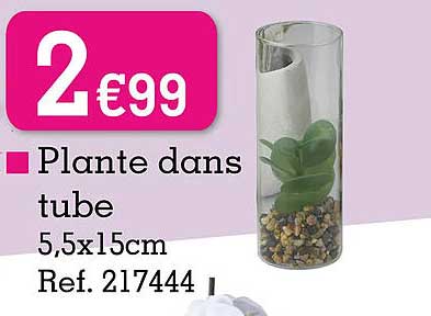 plante dans tube