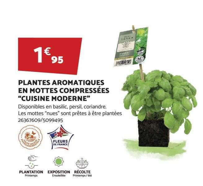 Plantes Aromatiques En Mottes Compressées "cuisine Moderne"