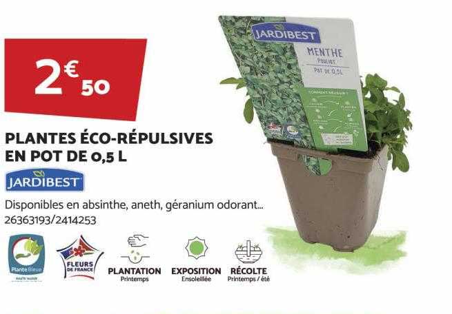 plantes éco-répulsives en pot de 0,5l jardibest