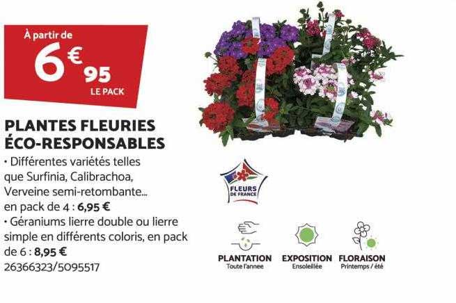 plantes fleuries éco-responsables
