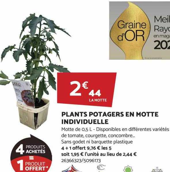 plants potagers en motte individuelle