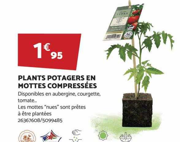 Plants Potagers En Mottes Compressées