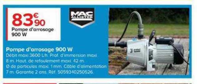 pompe d'arrosage 900w mac allister