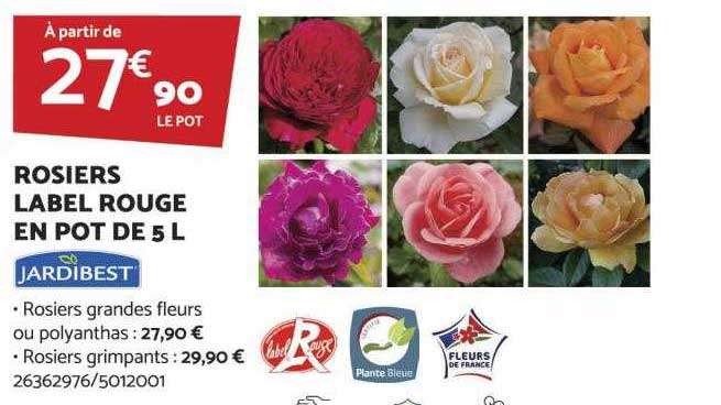 rosiers label rouge en pot de 5l jardibest
