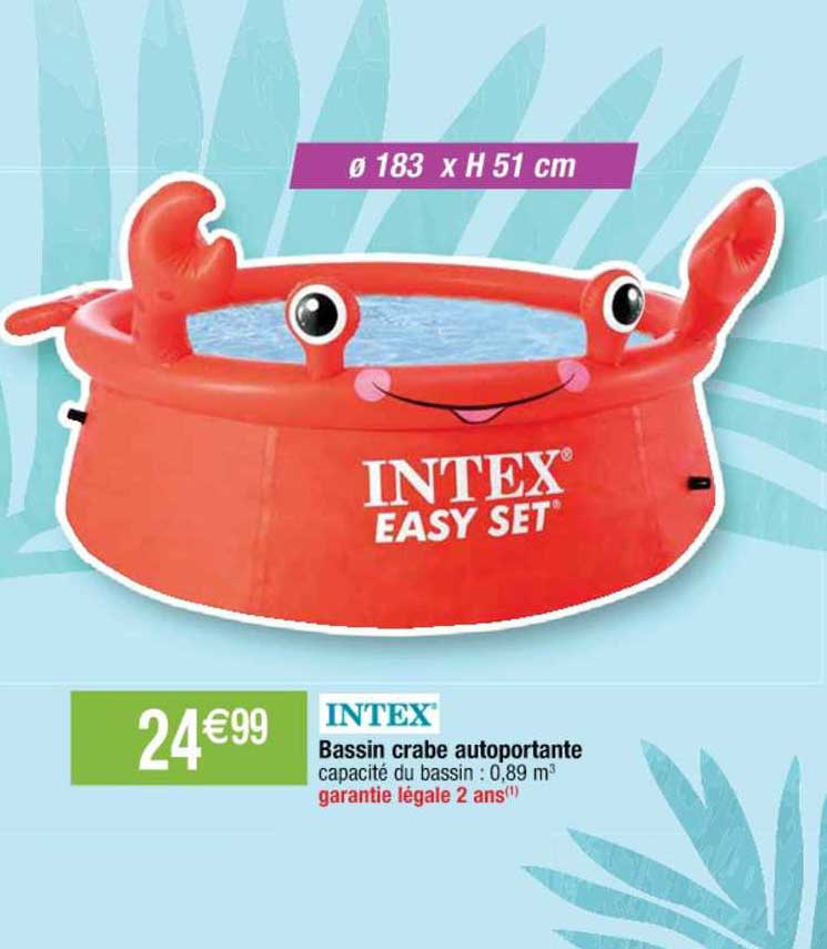 bassin crabe autoportante intex