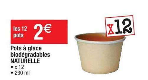 pots à glace biodégradables naturelle