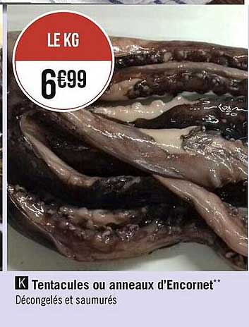 tentacules ou anneaux d'encornet