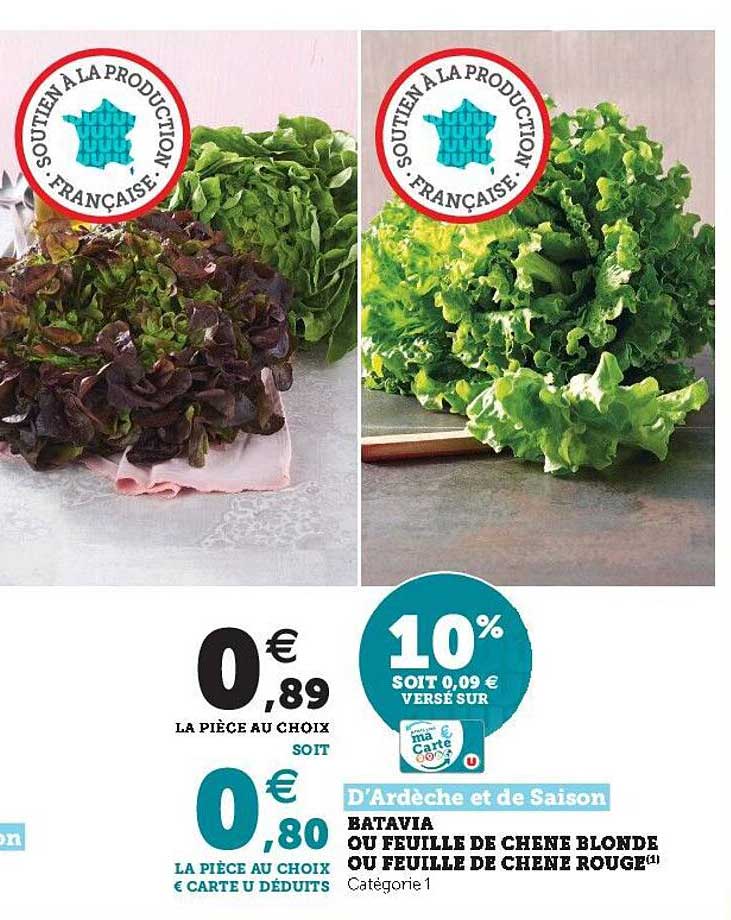 batavia ou feuille de chêne blonde ou feuille de chêne rouge d'ardèche et de saison