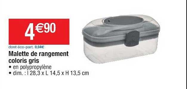 malette de rangement coloris gris